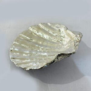 Artistic Silver Coated Shell or Cippy Dish |  5.2″| Saah Gifts