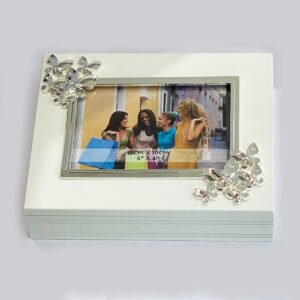 White Dry Fruit Box Silver Decorations | 9 inch